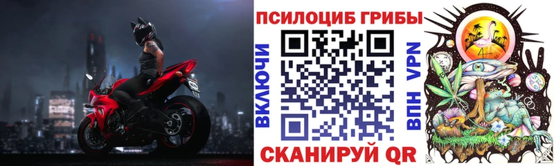 Галлюциногенные грибы мицелий  Купить где  Елец 